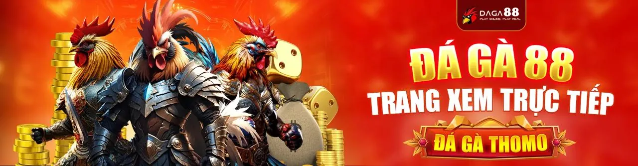 Đấu trường đá gà trực tuyến Kwin